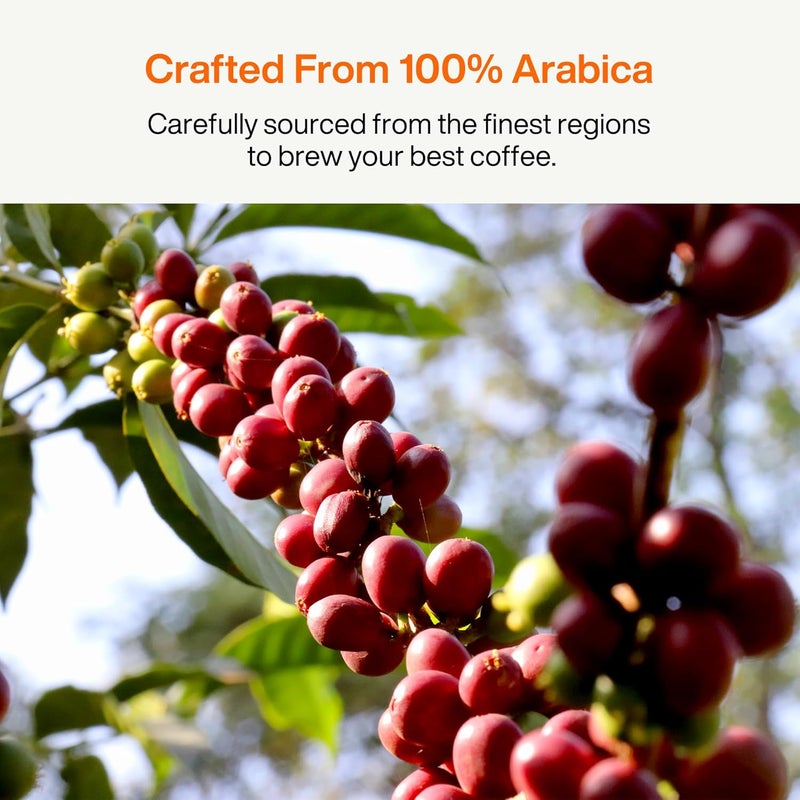 SATURNBIRD Instant Coffee Cold Brew Pods - Light Roast, 100% Arabica, 24 Count - Image 5